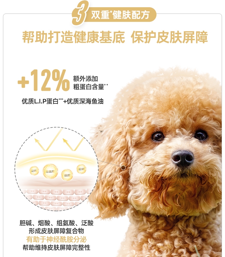 法国皇家Royal Canin 泰迪贵宾专用成犬粮 3kg PD30