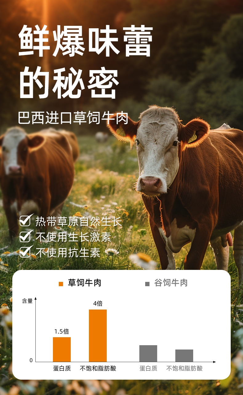 多可特 宠物零食犬用肉松牛肉粒狗零食 200g