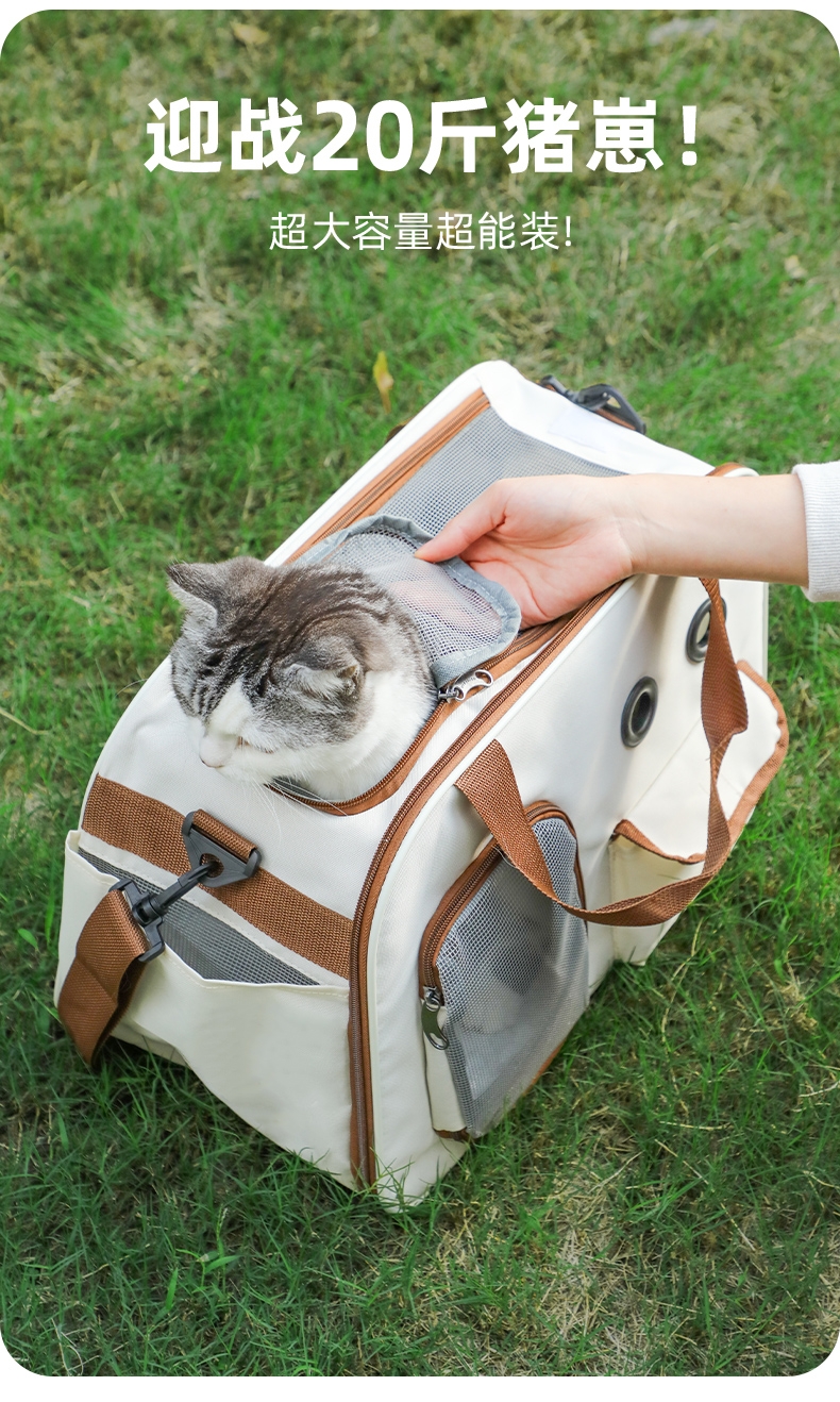 玩尾 大眼两用猫包米色拼咖啡色