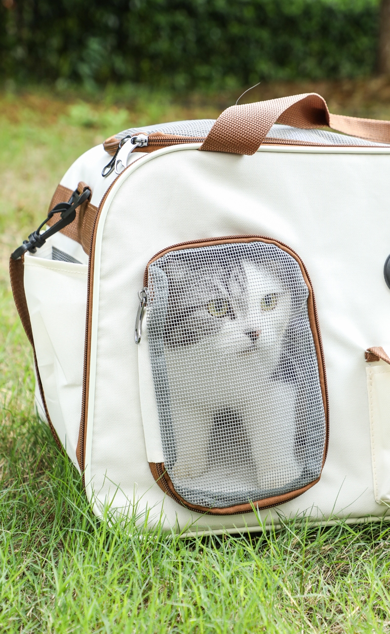 玩尾 大眼两用猫包米色拼咖啡色