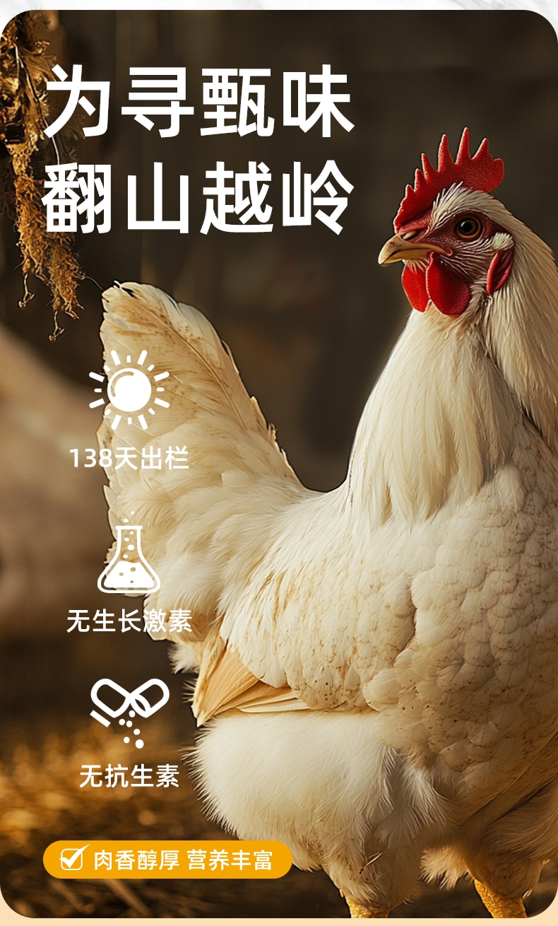 多可特 宠物零食冻干四拼桶(添加果蔬)狗狗零食猫咪零食 500g