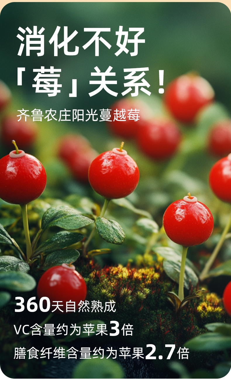 多可特 宠物零食冻干四拼桶(添加果蔬)狗狗零食猫咪零食 500g