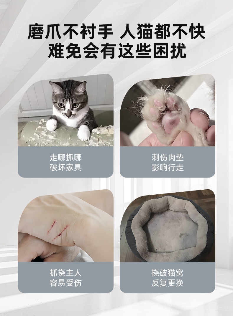多可特 双面可用猫抓板猫玩具