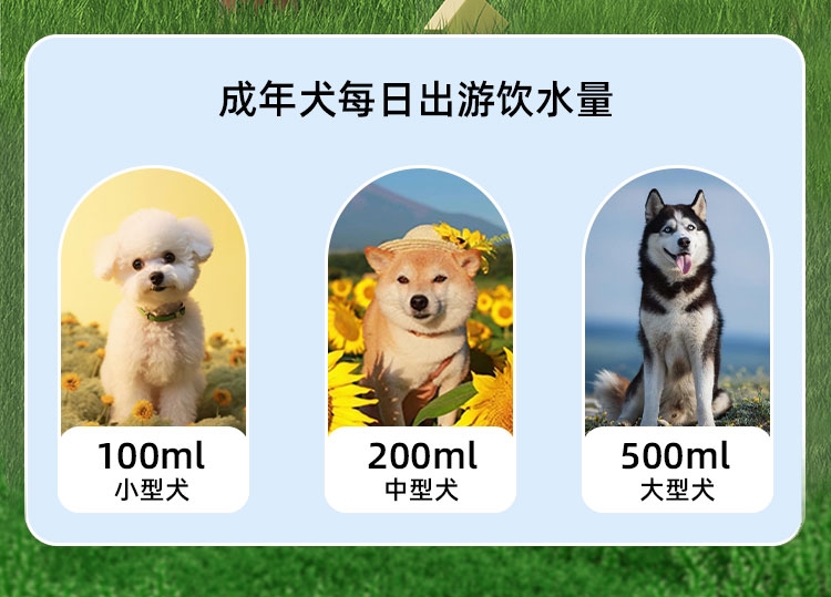多可特 瓢虫随行杯水具外出装备狗狗餐具