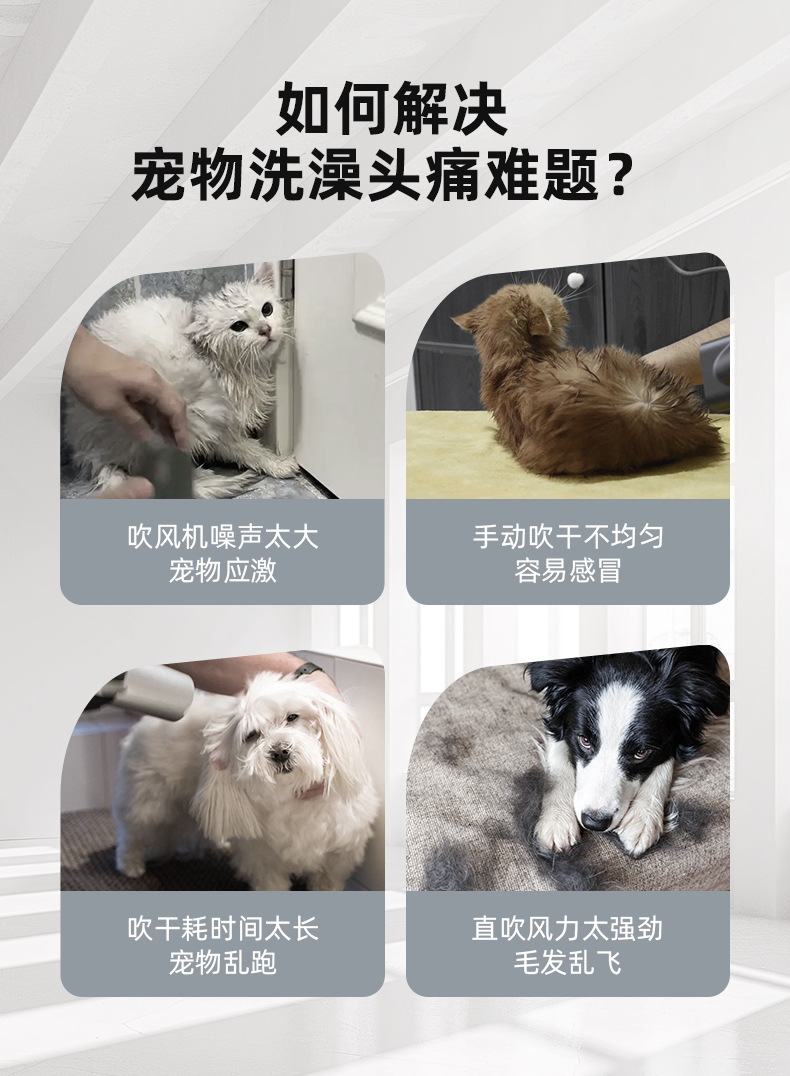 多可特 宠物智能烘干箱洗澡吹风机(按键款无蓝牙功能)