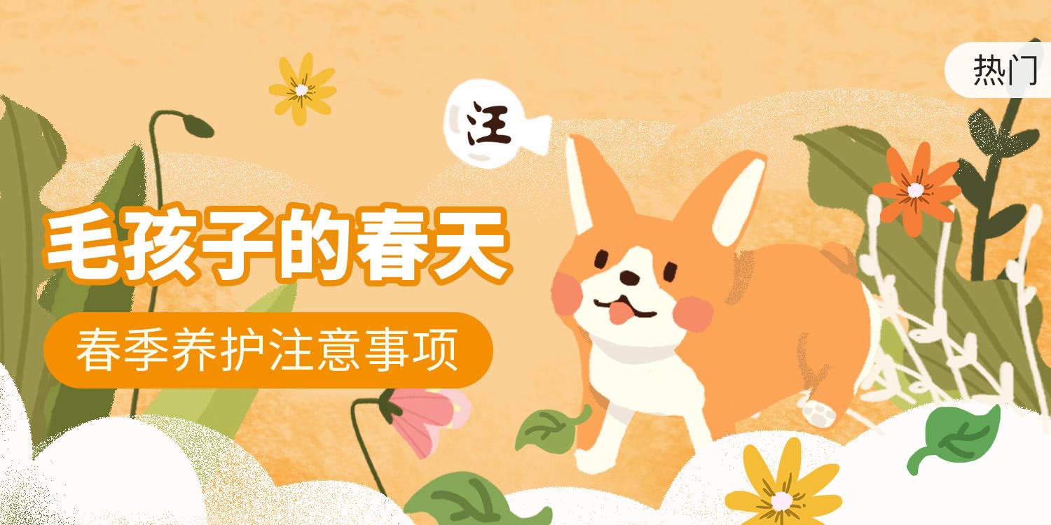 【每周-社区活动-招新】米奇影视圈里最容易拿奖的活动,没有之一