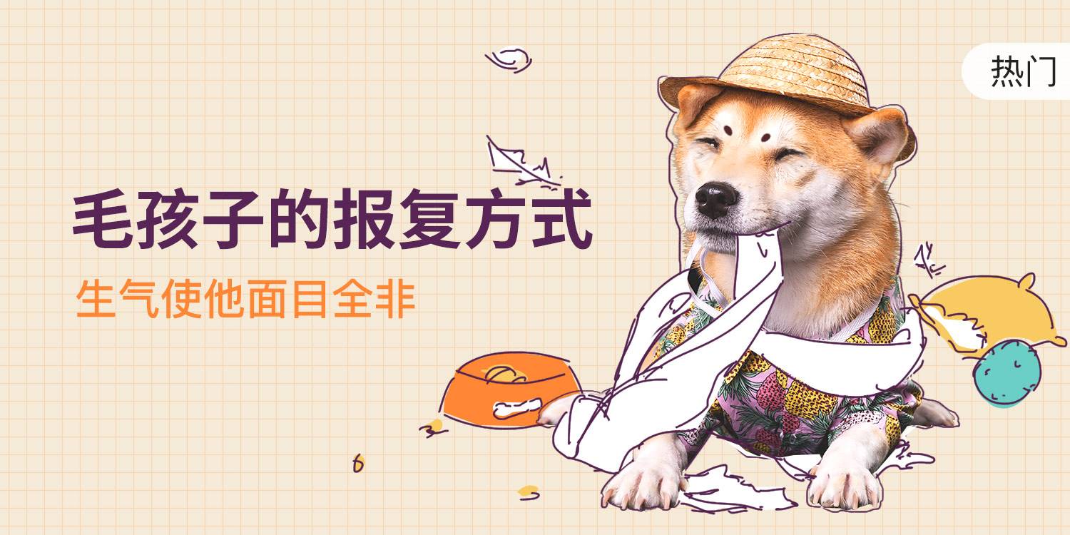 【每周-社区活动-招新】宠物圈里最容易拿奖的活动，没有之一