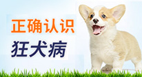 正確認(rèn)識(shí)狂犬病