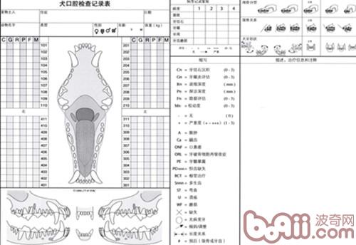 六,牙科檢查