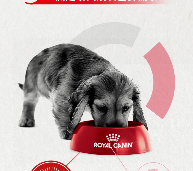 法国皇家Royal Canin A3优选全犬种幼犬粮 8kg