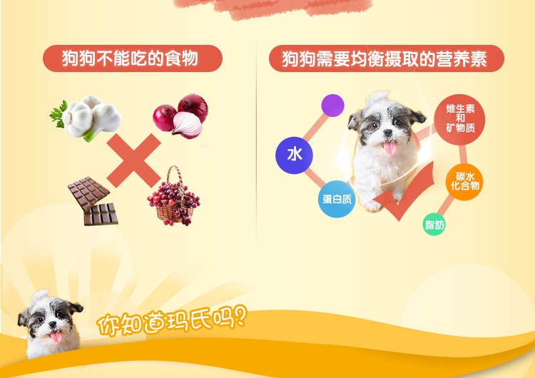 宝路Pedigree 牛肉风味幼犬妙鲜包 85g