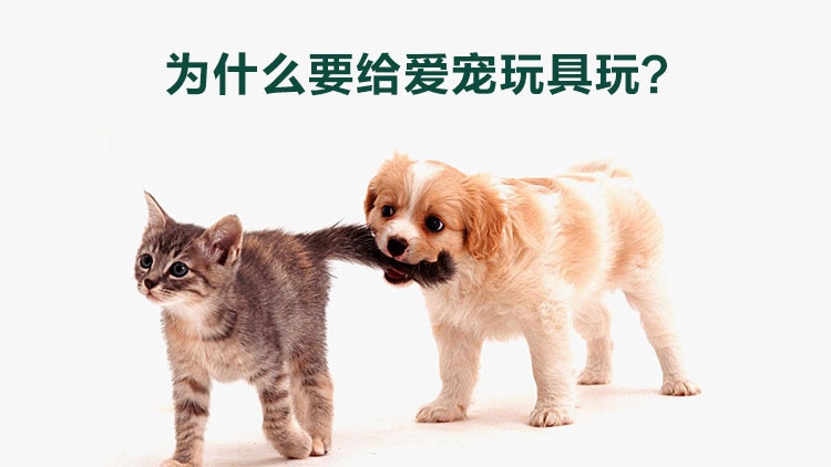 千羽 宠物棉绳抛掷球 猫狗通用玩具