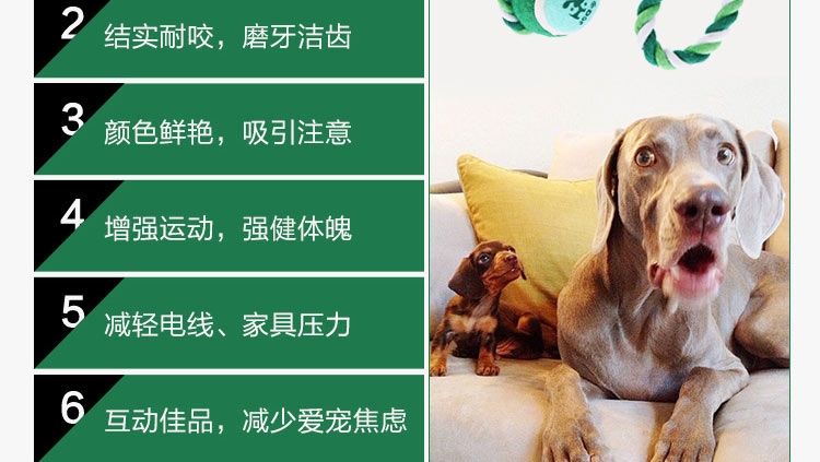 千羽 宠物棉绳抛掷球 猫狗通用玩具