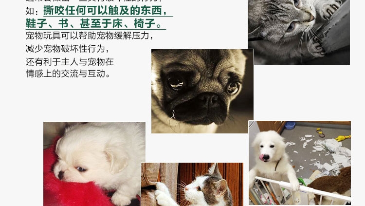 千羽 宠物棉绳抛掷球 猫狗通用玩具