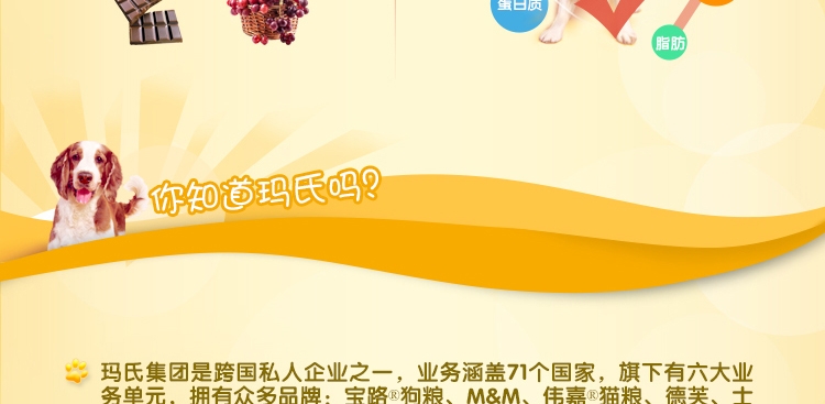 宝路Pedigree 钙力健补钙磨牙棒狗零食 75g
