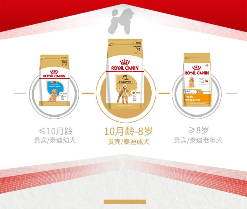 法国皇家ROYAL CANIN 泰迪贵宾成犬粮专用狗粮 3kg