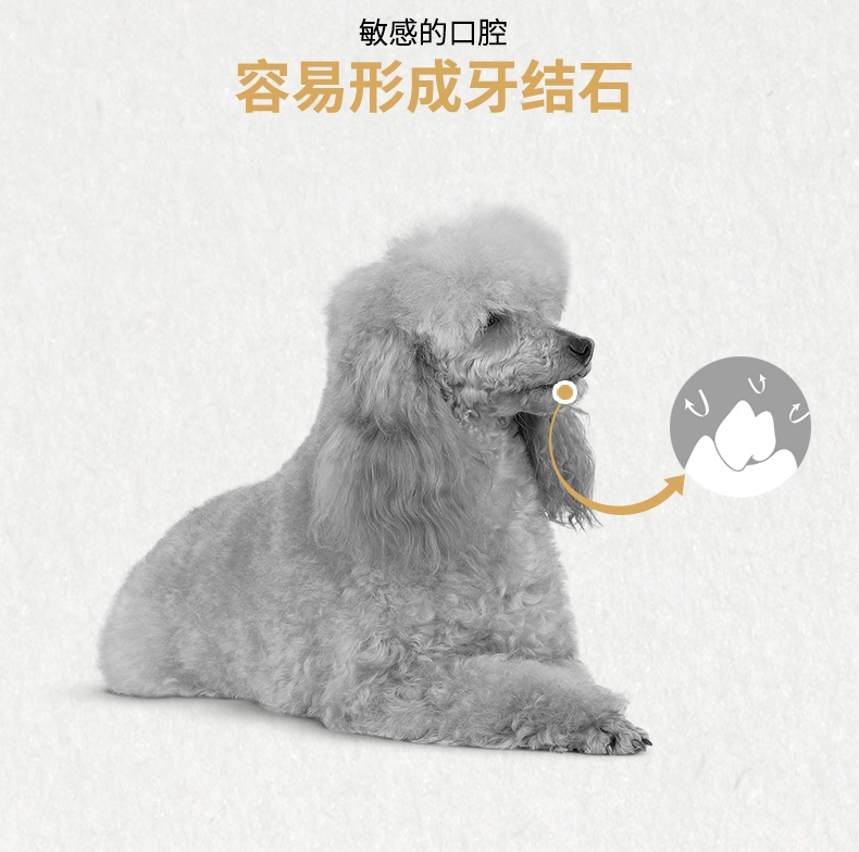 法国皇家ROYAL CANIN 泰迪贵宾成犬粮专用狗粮 3kg