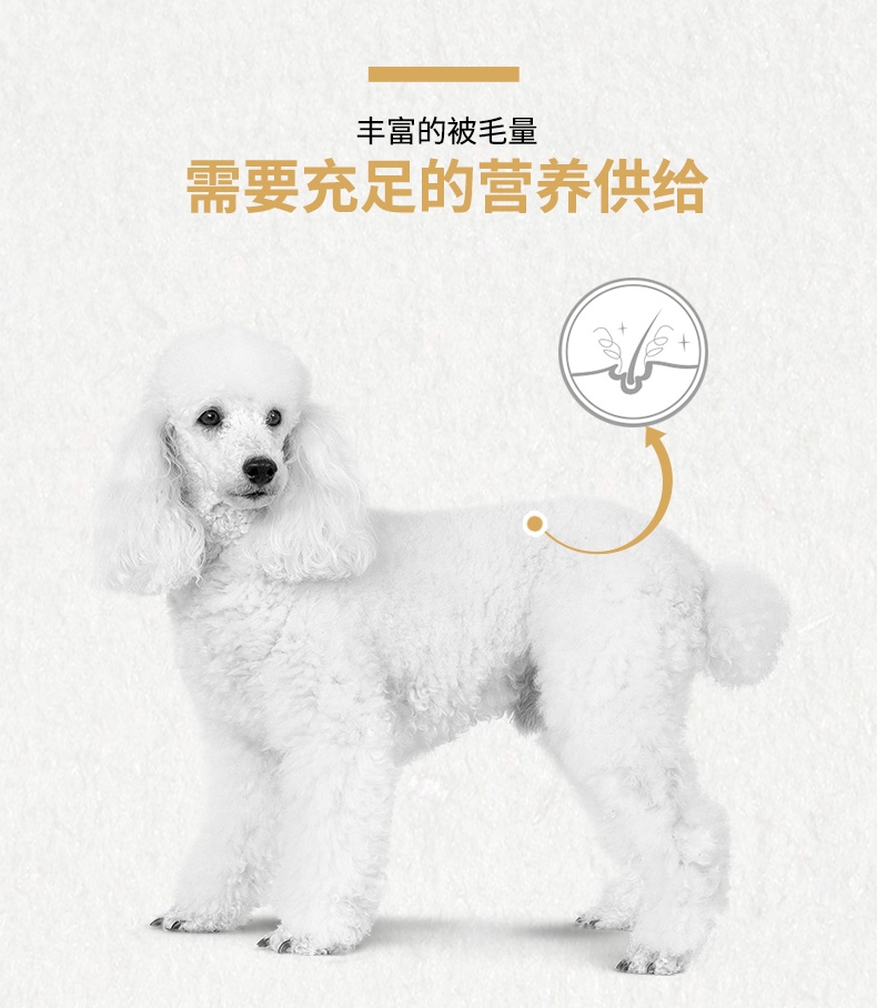 法国皇家ROYAL CANIN 泰迪贵宾成犬粮专用狗粮 3kg