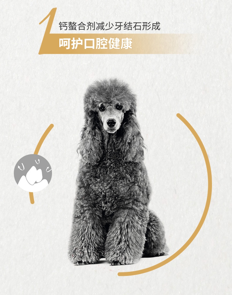 法国皇家ROYAL CANIN 泰迪贵宾成犬粮专用狗粮 3kg