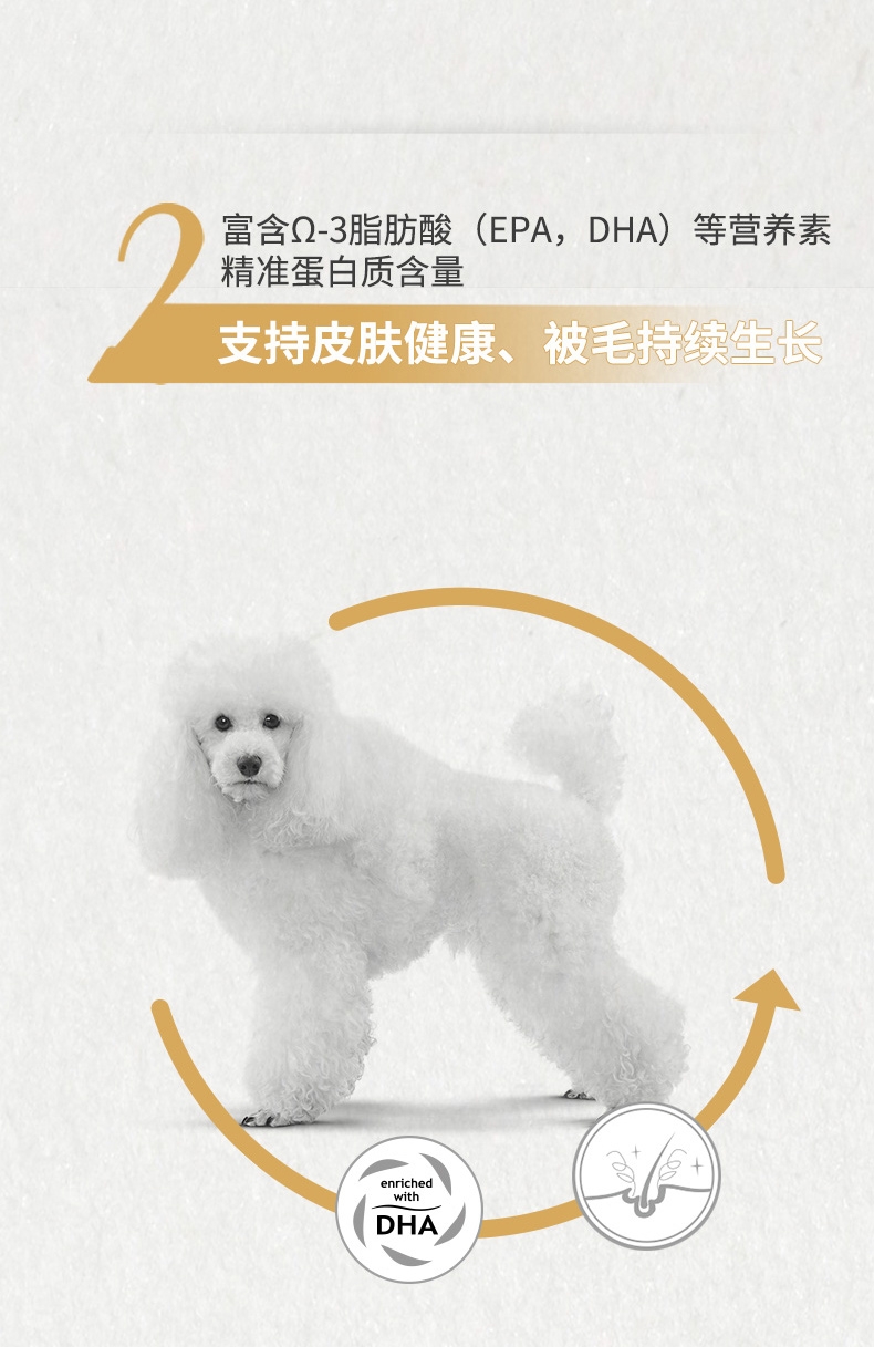 法国皇家ROYAL CANIN 泰迪贵宾成犬粮专用狗粮 3kg