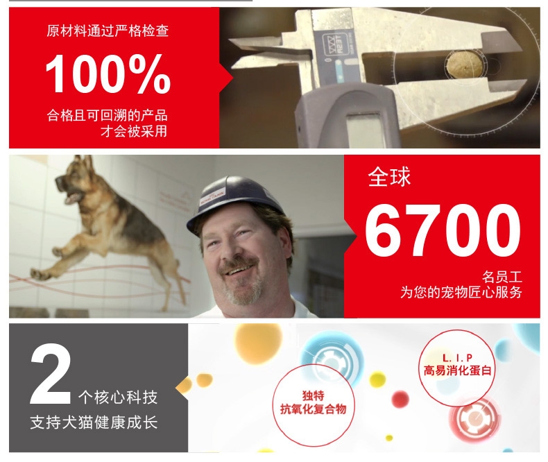 法国皇家ROYAL CANIN 泰迪贵宾成犬粮专用狗粮 3kg