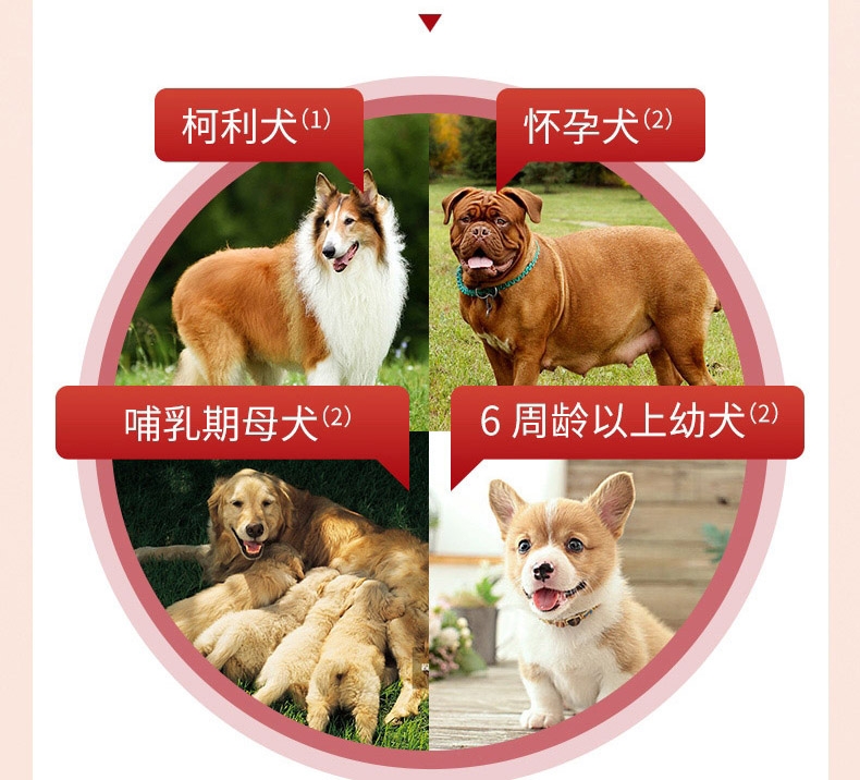 犬心保  犬用体内驱虫 口服 适用12kg-22kg中型犬 6粒整盒/6个月剂量 美国进口
