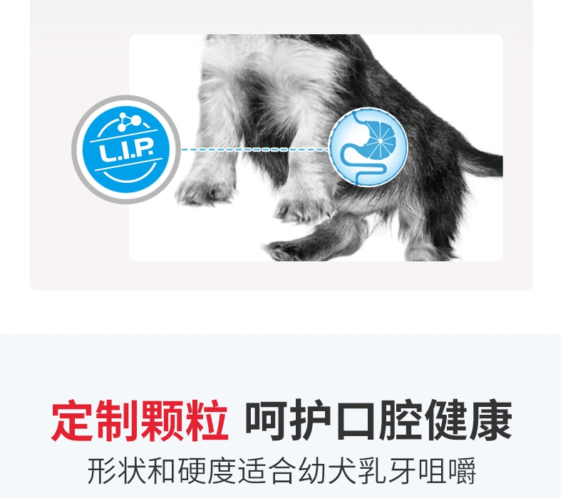 法国皇家Royal Canin 小型犬幼犬离乳期奶糕粮 1kg
