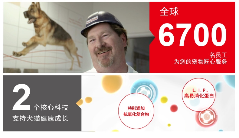 法国皇家ROYAL CANIN 12月以下及怀孕期母猫幼猫粮10kg K36