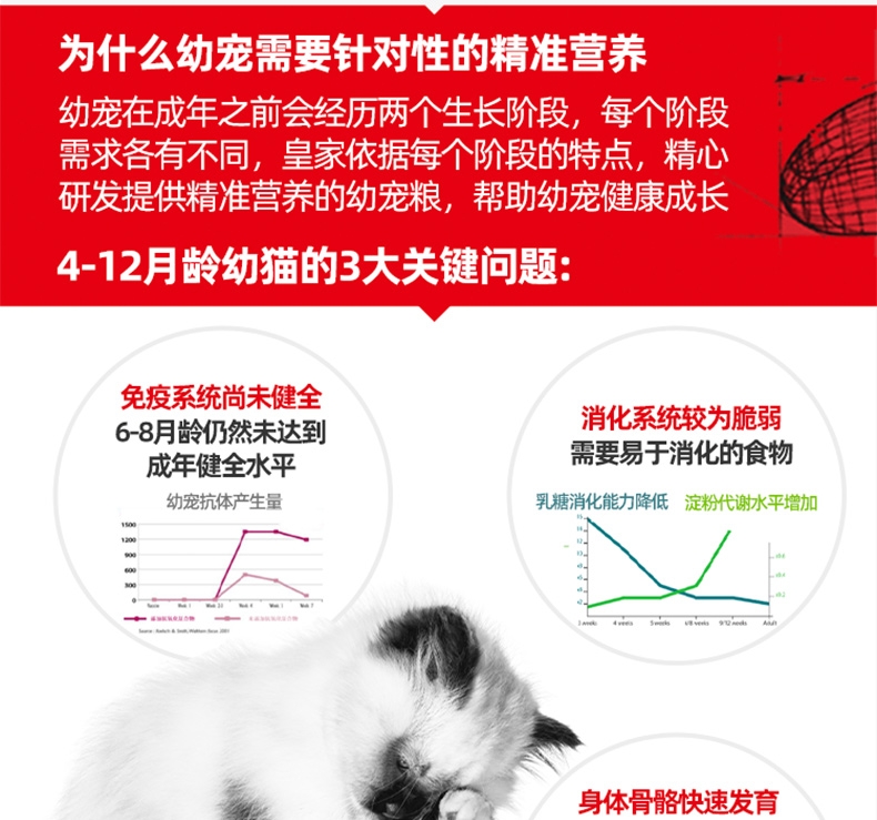 法国皇家 孕猫及12个月以下幼猫粮 K36 10kg