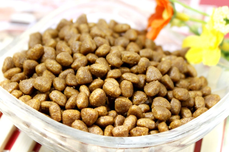 醇粹 小型犬奶糕纯天然狗粮500g