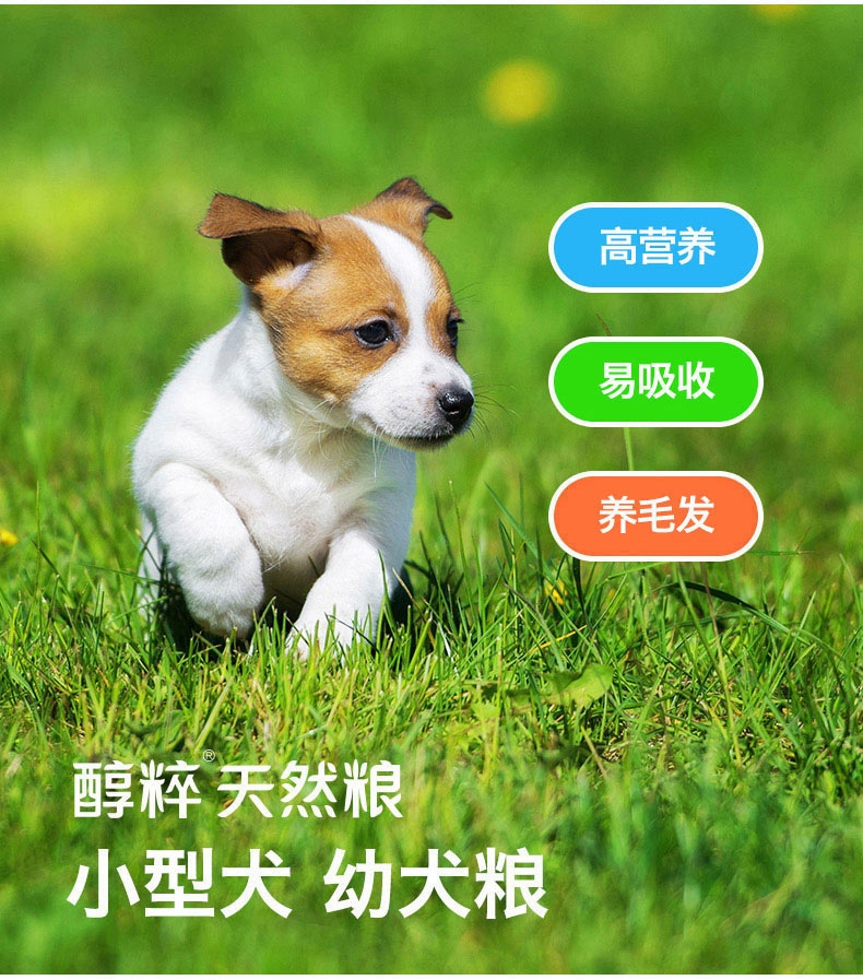 shopimgFile1506740220.jpg