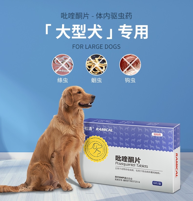 雷米高Ramical 驱虫一粒清猫狗广谱体内打虫药 1片装 杀线虫绦虫吸虫