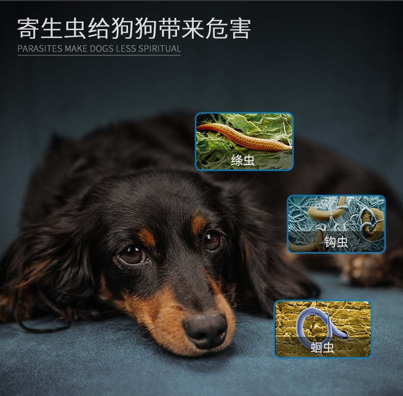 雷米高Ramical 驱虫一粒清猫狗广谱体内打虫药 1片装 杀线虫绦虫吸虫
