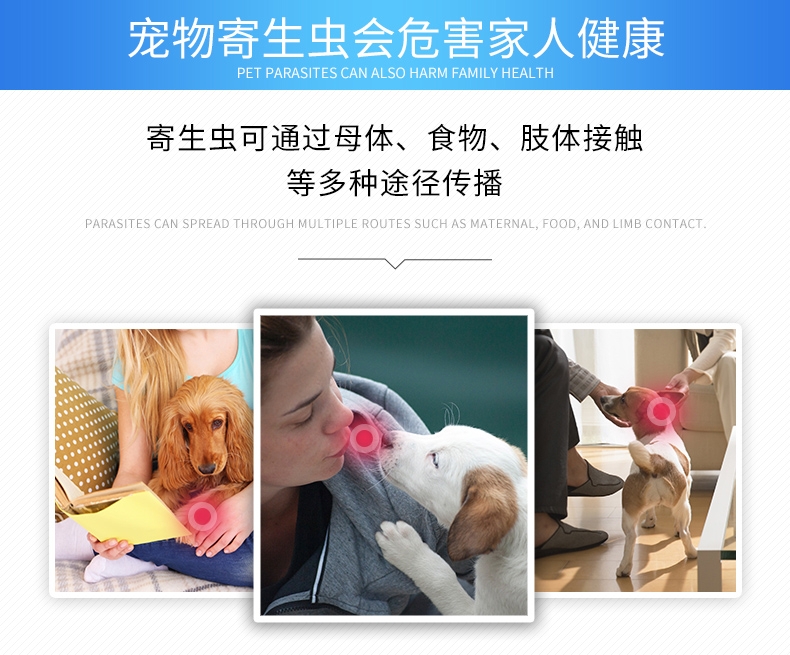 雷米高Ramical 驱虫一粒清猫狗广谱体内打虫药 1片装 杀线虫绦虫吸虫