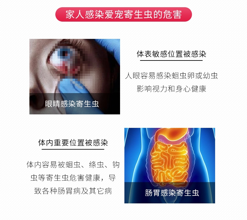 雷米高Ramical 驱虫一粒清猫狗广谱体内打虫药 1片装 杀线虫绦虫吸虫