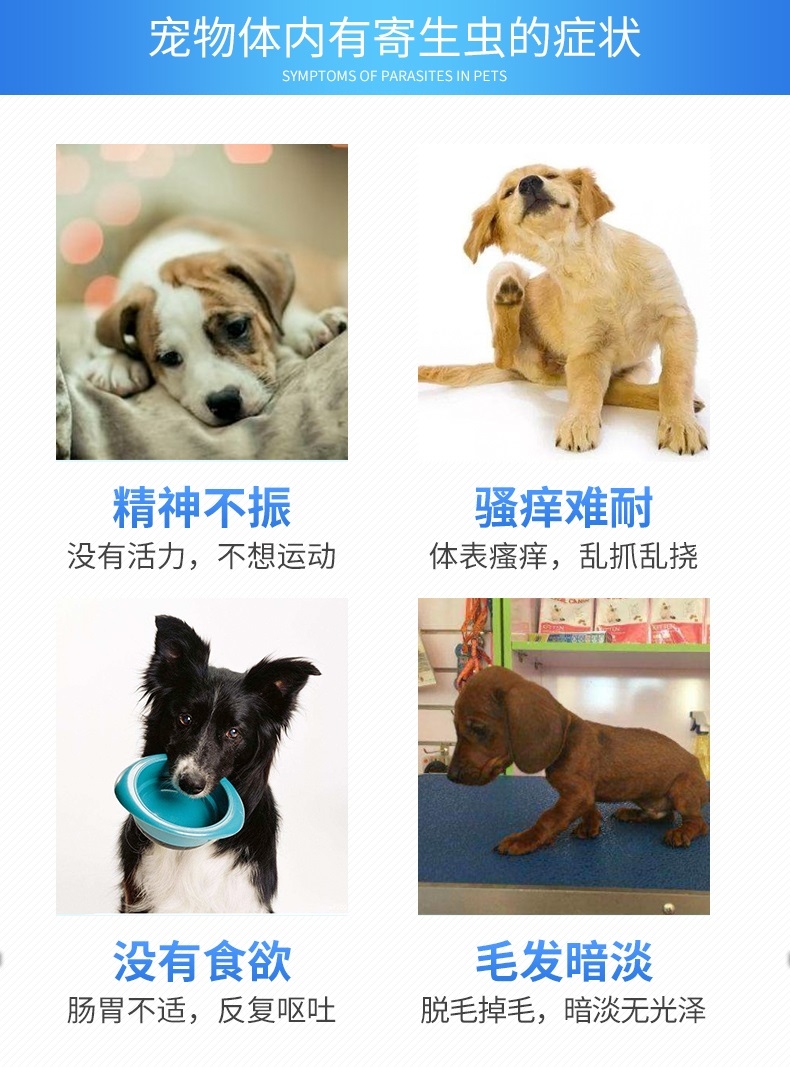 雷米高Ramical 驱虫一粒清猫狗广谱体内打虫药 1片装 杀线虫绦虫吸虫