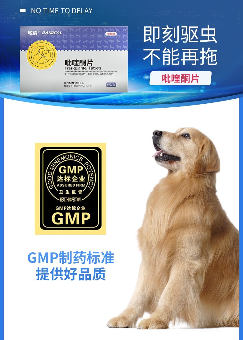雷米高Ramical 驱虫一粒清猫狗广谱体内打虫药 1片装 杀线虫绦虫吸虫