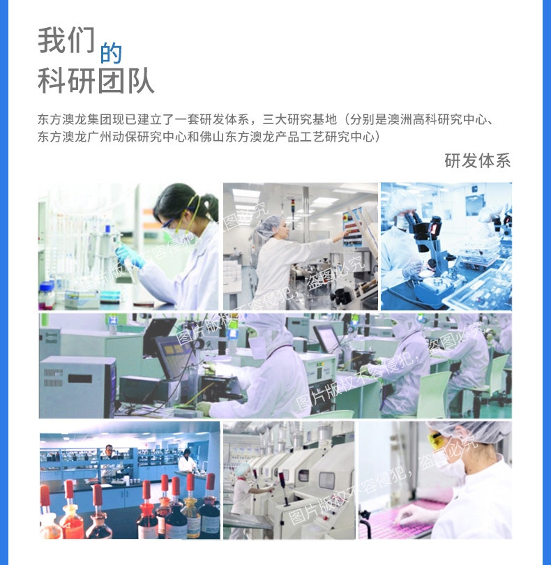雷米高Ramical 驱虫一粒清猫狗广谱体内打虫药 1片装 杀线虫绦虫吸虫