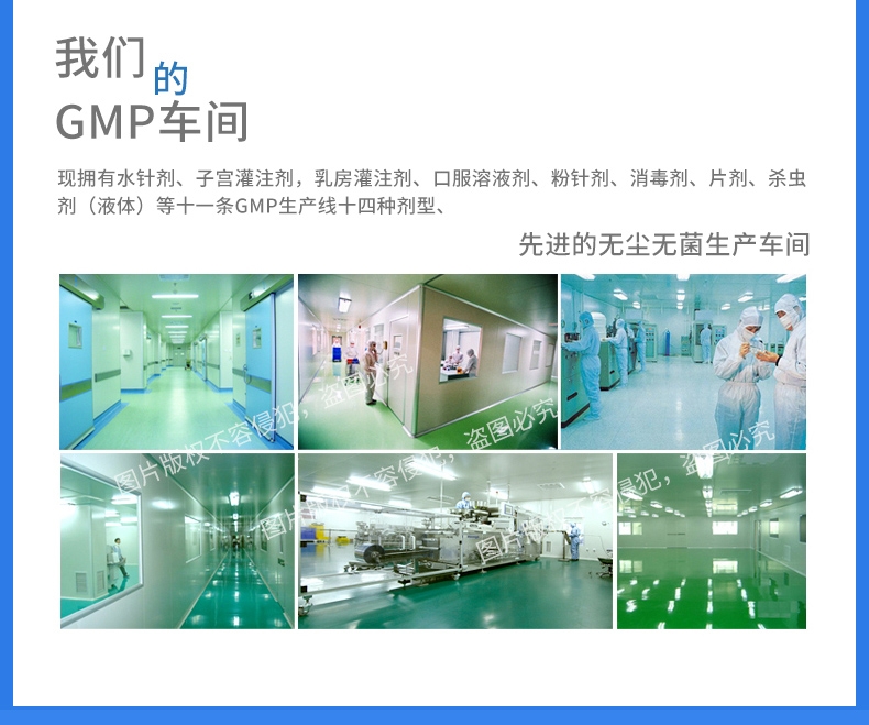 雷米高Ramical 驱虫一粒清猫狗广谱体内打虫药 1片装 杀线虫绦虫吸虫