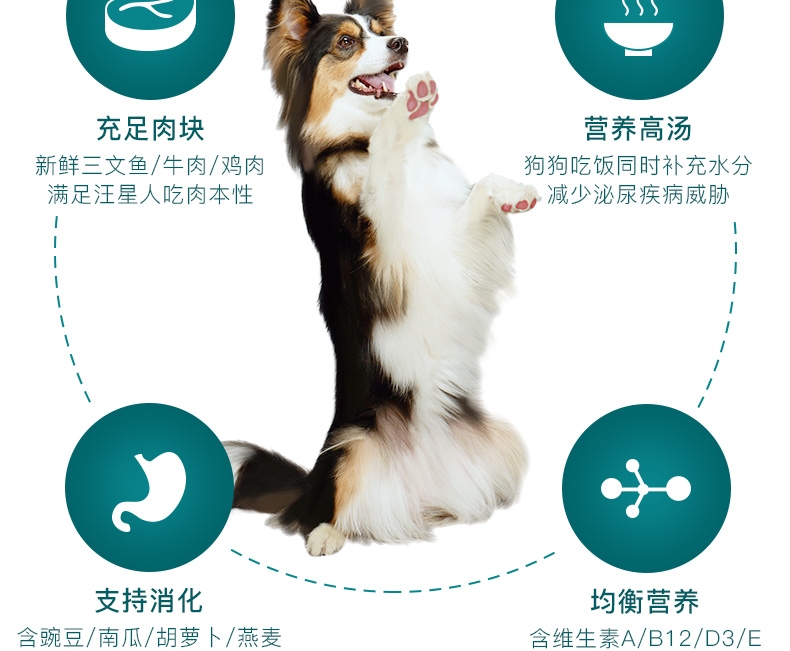 怡亲Yoken 牛肉蔬菜成犬湿粮鲜封包 110g