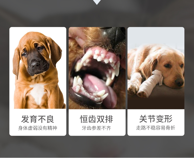 谷登 大红鹰dhy娱乐超能钙200g 强壮骨骼 保护关节