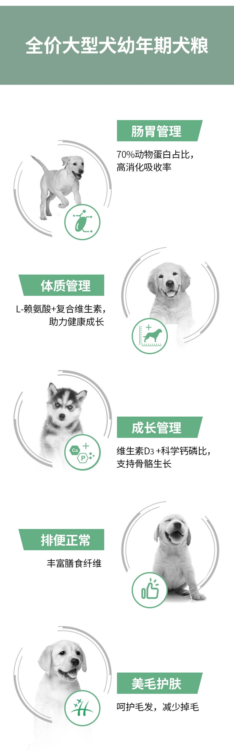 醇粹 大型犬幼犬粮 15kg 55%肉含量