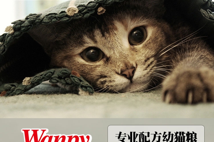 shopimgFile1411007558.jpg