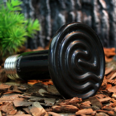 nomo爬虫蛇龟蜘蛛陶瓷取暖加热保温灯100w-nt04