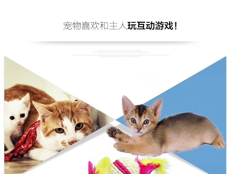 shopimgFile1466256335.jpg