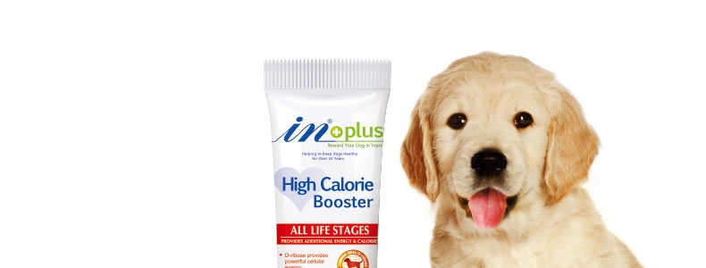 麦德氏inplus 犬用活力能量营养膏 120g 虚弱厌食改善