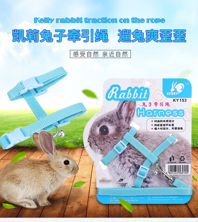 如何训练小兔子随叫随到 shopimgFile1476179853.jpg