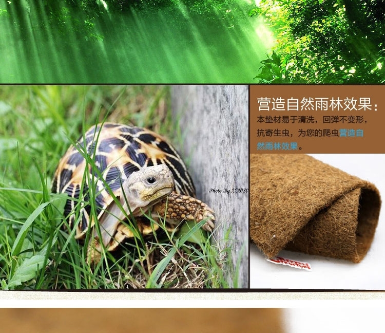 Reptile Structure 爬虫椰棕垫材40cm*60cm 陆龟星龟无尘爬虫箱造景