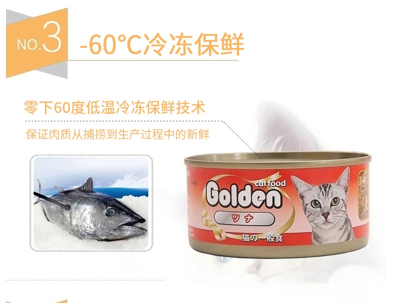 金赏Golden 金枪鱼味猫罐头 170g*12罐