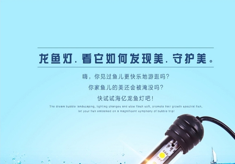 海亿 龙鱼灯